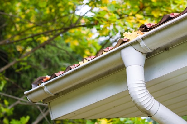 Gutter Cleaning Image