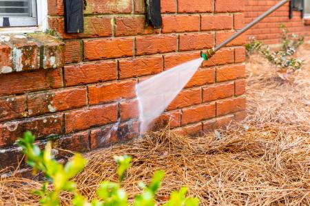 Efflorescence Removal